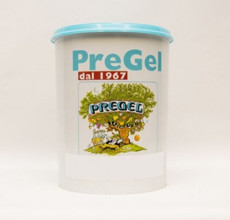 PREGEL PANNACREMA AROME CONCENTRE NOIX DE COCO5KG