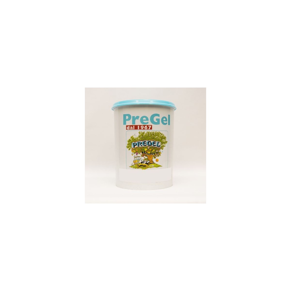 PREGEL PANNACREMA AROMA GECONCENTREERD KOKOSNOOT 2X5KG  DOOSJE