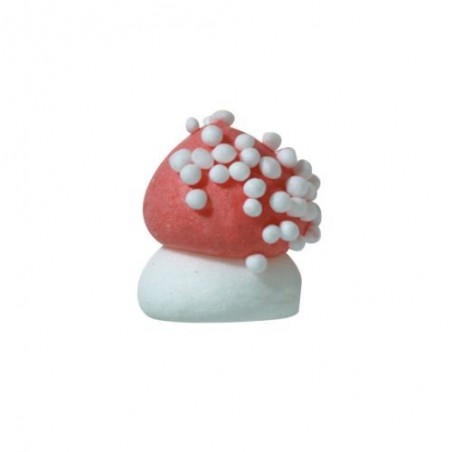 1051311 CHAMPIGNON SUCRE MOYEN DIA 1.8CM 270PCES BTS/CD