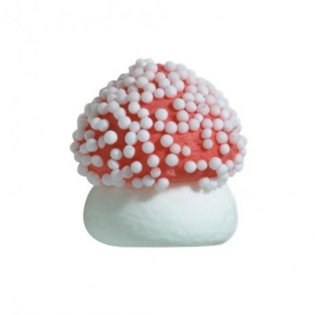 1051321 CHAMPIGNON SUCRE GRAND DIA 2.1CM 180CPES 