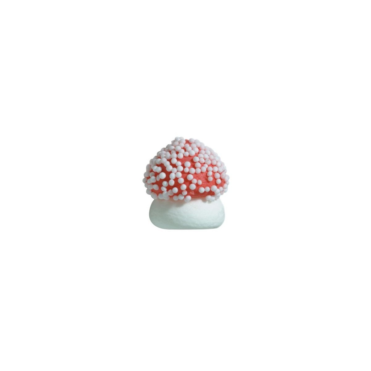 1051321 CHAMPIGNON SUCRE GRAND DIA 2.1CM 180CPES BTS/CD