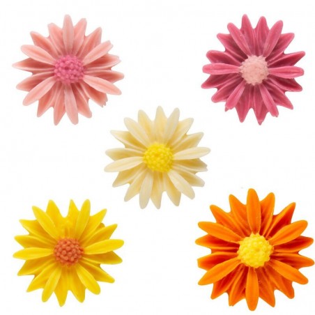 1061060 ASSORTIMENT DE MARGUERITES EN CHOCOLAT 2,5CM 120PCES