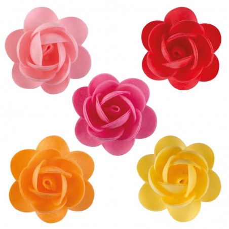 1049008 ROSES ANDREA 5CM 100PCESS/CD