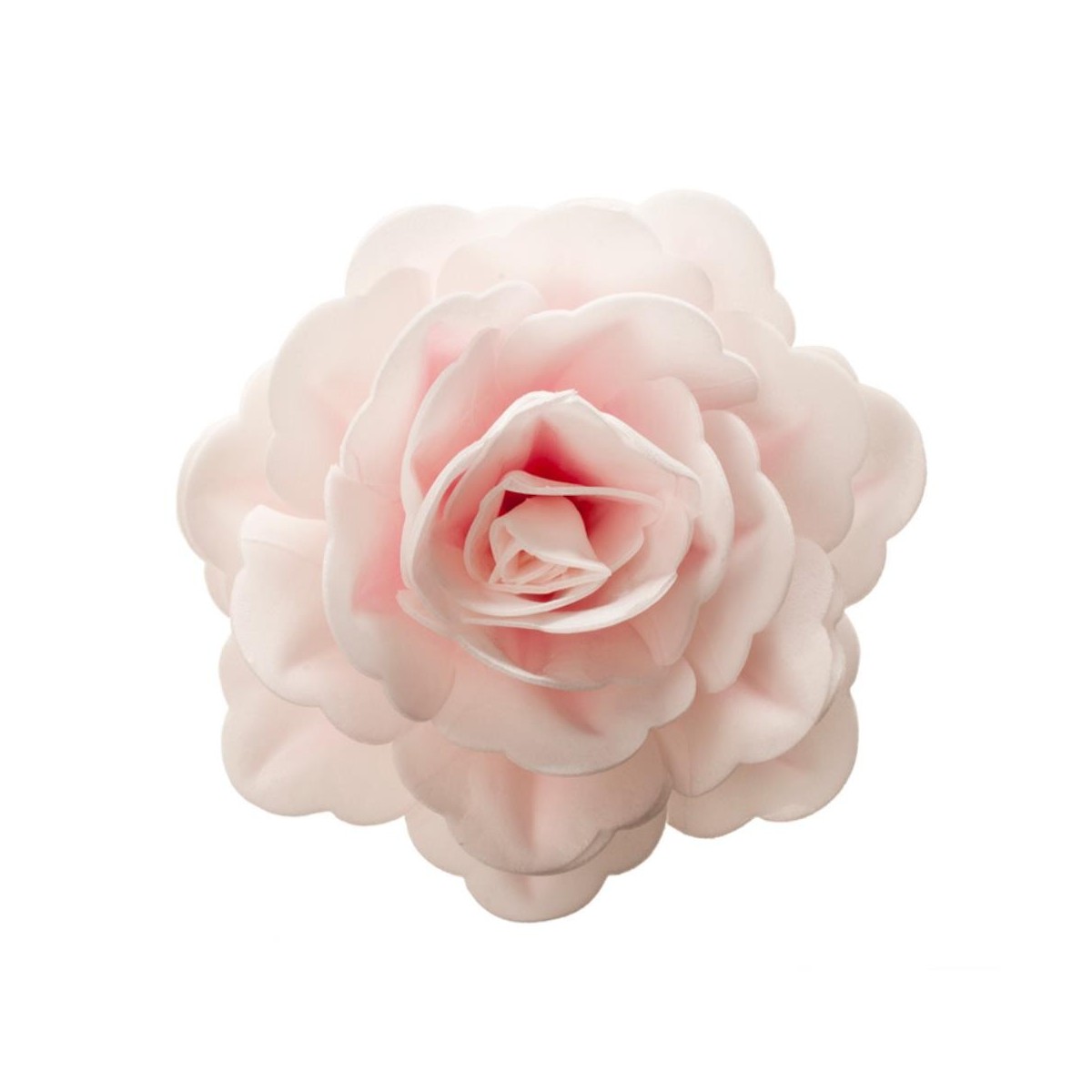 ROSE GEANTE AZYME ROSE 12.5CM