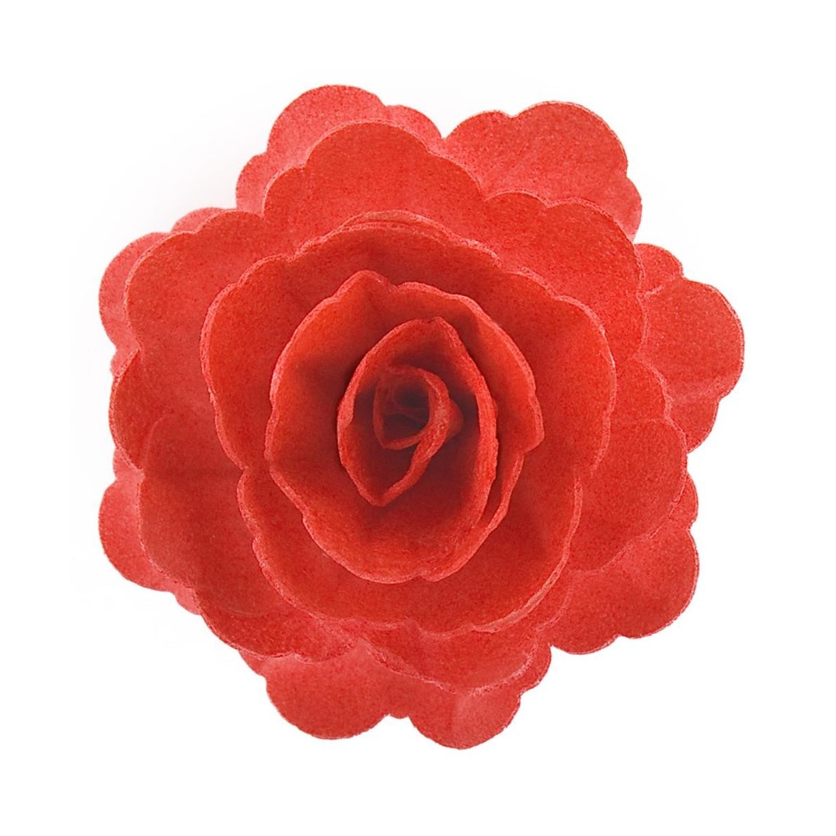 ROSE GEANTE AZYME ROUGE 12.5CM