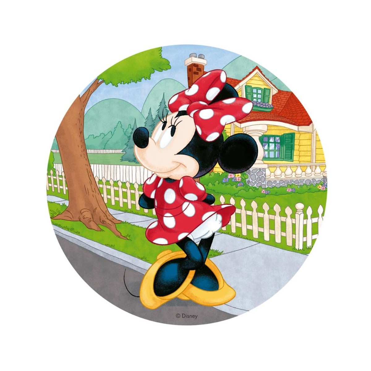 DISQUE AZYME MINNIE 20CM