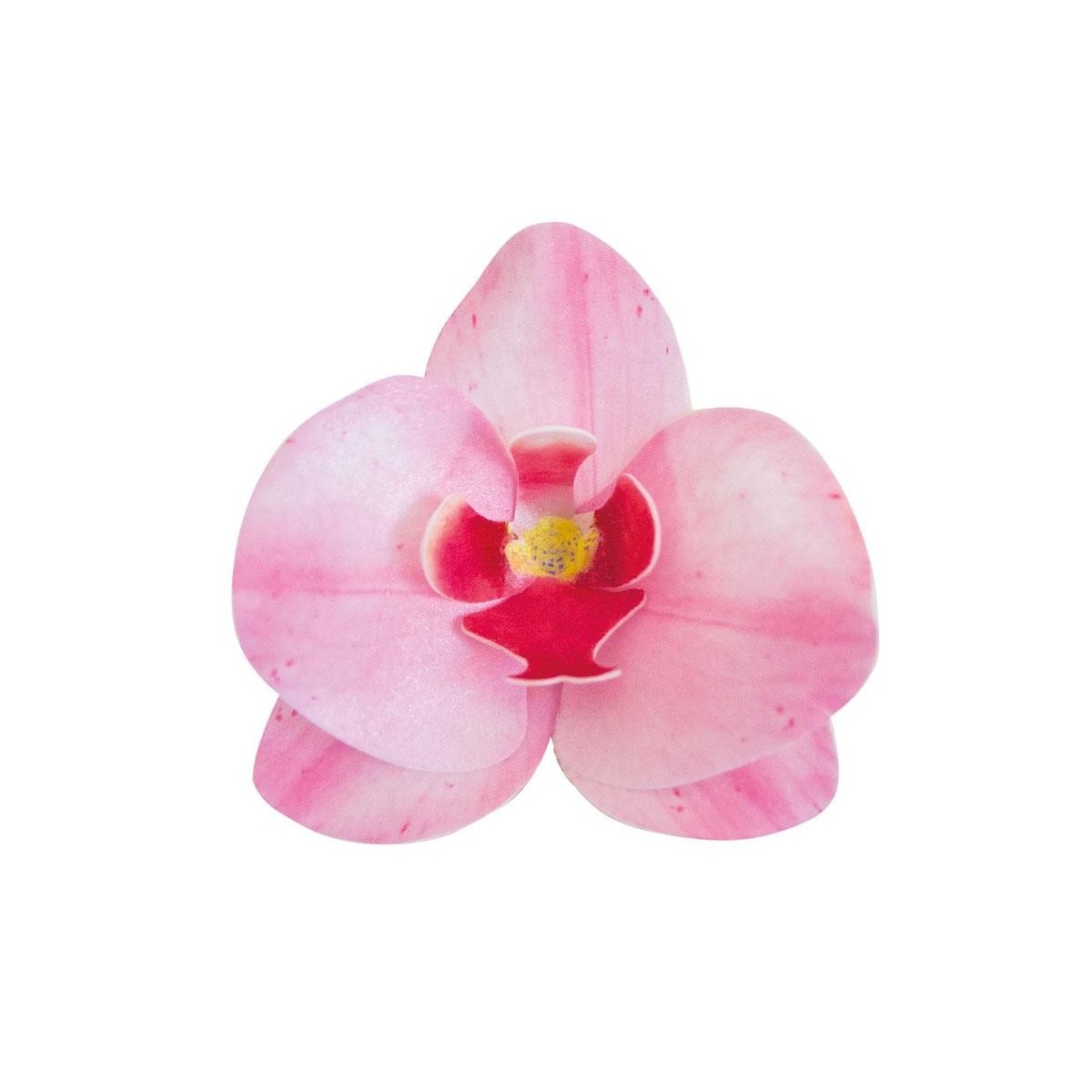 126066 DEK ROZE ORCHIDEE AZYME 10 STUKKENDOOS