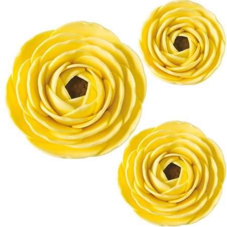 1066038 RENONCULE JAUNE 4-5-6,5CM 27 PCES S/CDE