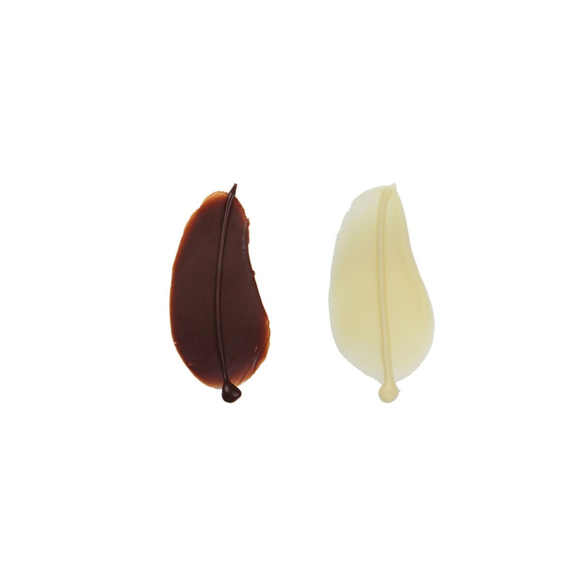 1034147 PLUME PETITE CHOCOLAT 50PCES S/CDE