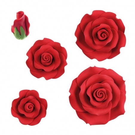 66017  ASSORTIMENT DE ROSES ROUGE 23PCES S/CDE