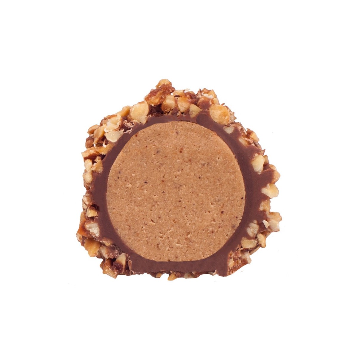 PRALINE BRUYERRE ROCHER LAIT 1.1 KG