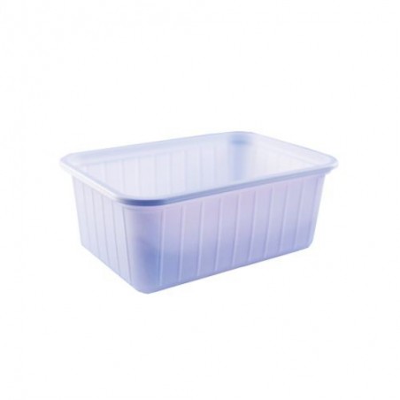 PLASTIC ICE CREAM BOX 1/2 L WITH LID 500 PIECES FOST+2020 INCLUDED 6,47192 €  BOX