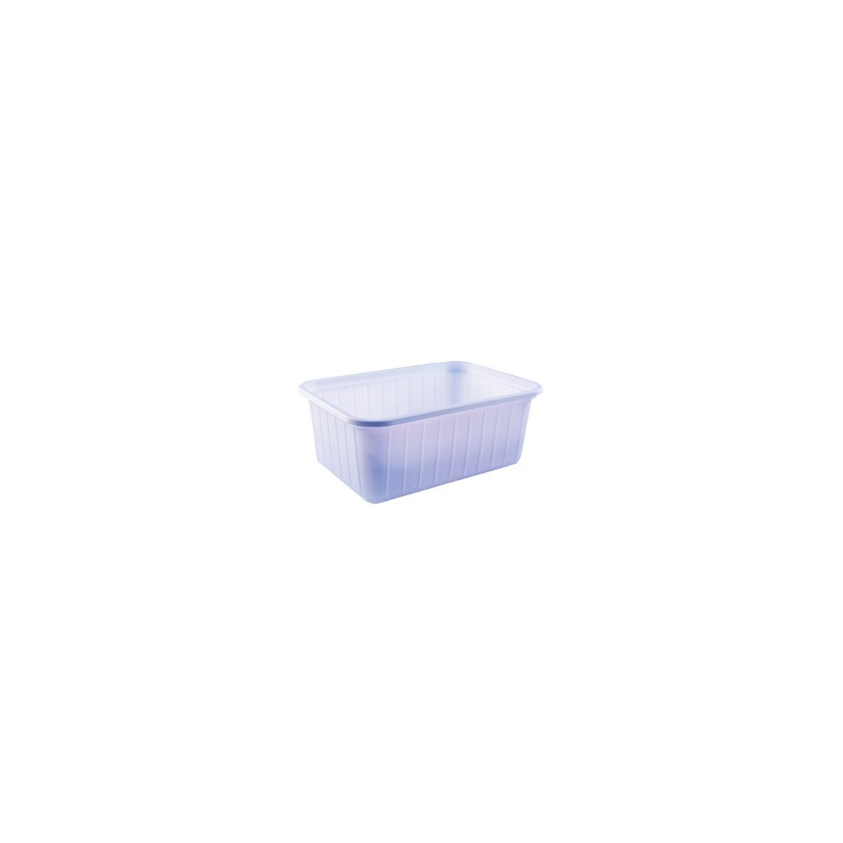 PLASTIC ICE CREAM BOX 1/2 L WITH LID 500 PIECES FOST+2020 INCLUDED 6,47192 €  BOX