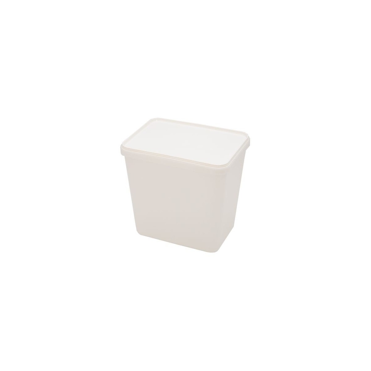 PLASTIC ICE CREAM BOX 5L WITH LID 20 PIECES FOSTPLUS INCLUDED  PIECE