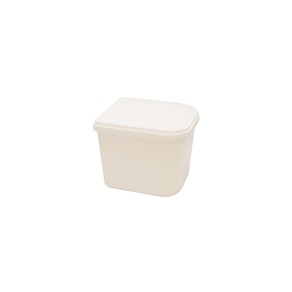 PLASTIC ICE CREAM BOX CADY 2,5L WITH LID 20 PIECES FOSTPLUS INCLUDED  PIECE