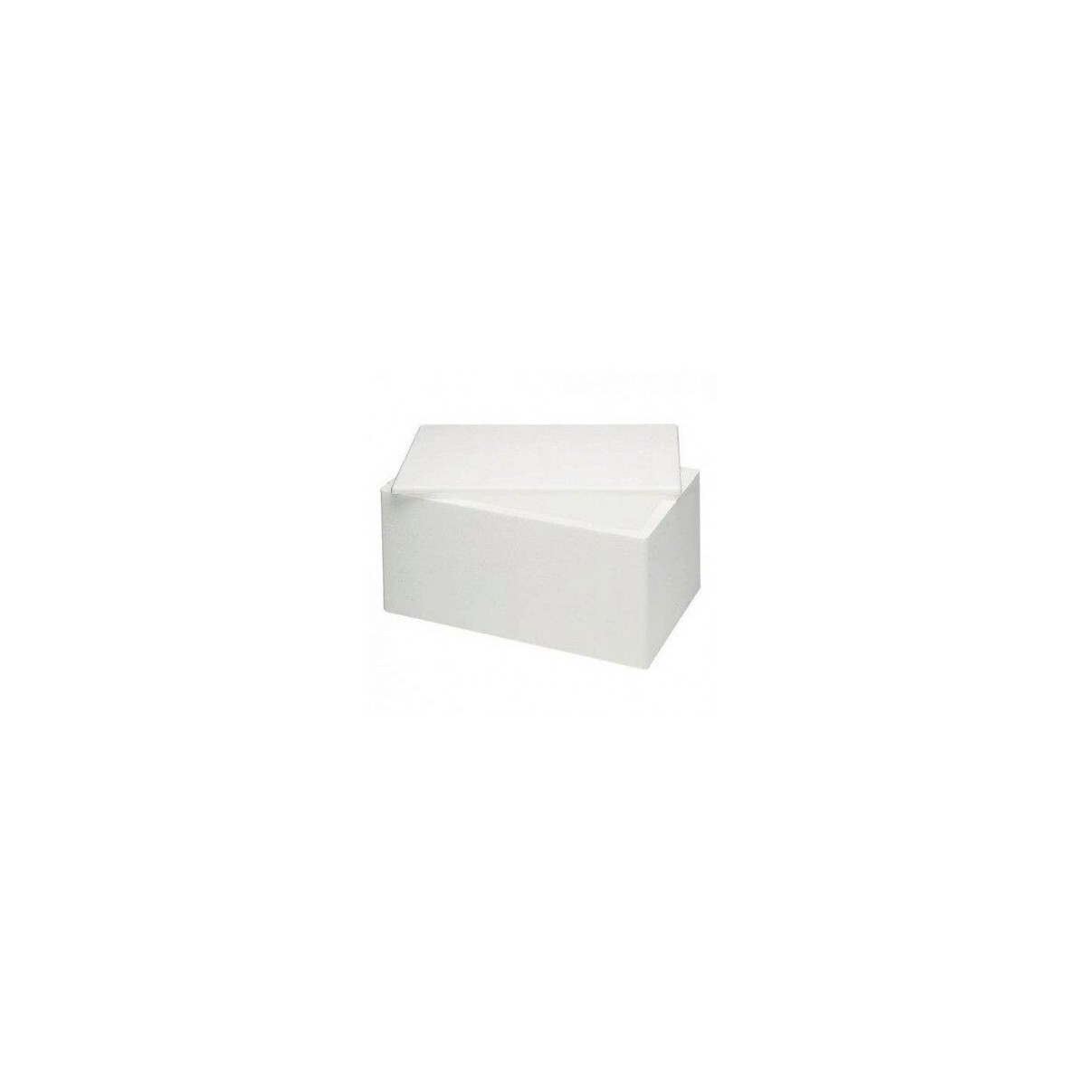 BOITE ISO-BOX EN POLYSTYRENE 41X31XHT31CM EXTERIEUR