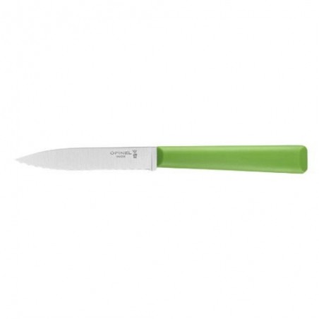 OPINEL SERRATED KNIFE N°313 LES ESSENTIELS+STAINLESS RVS/POLYMER GREEN