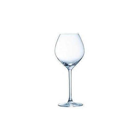 ARCOROC VERRE MAGNIFIQUE 35CL 