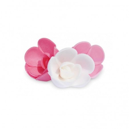 + RM05 MINI ROSE 30MM BLANCHE-ROSE-ROSE CARMIN  72PCES VOIR 08054804