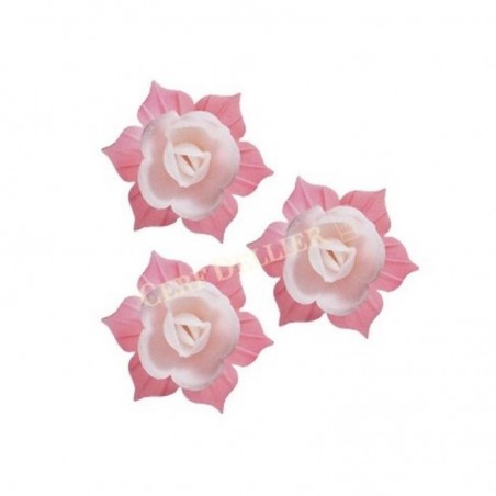 J02 JONQUILLE AZYME 45MM ROSE ET BLANC28 PCES