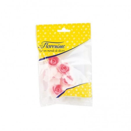 NBJ12 BLISTER DE JONQUILLES 45MM ROSE ET BLANC5PCES