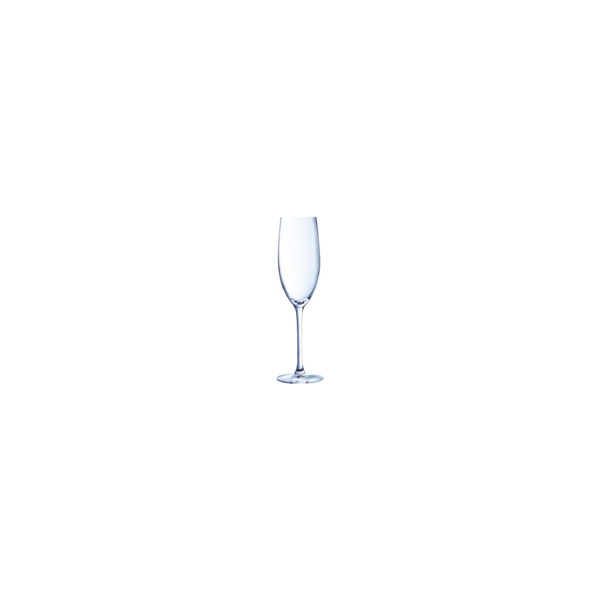 ARCOROC CHAMPAGNE FLUTE 24CL KWARX 6 STUKKENSTUK