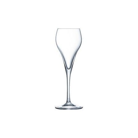 ARCOROC  VERRE BRIO FLUTE 16CL 