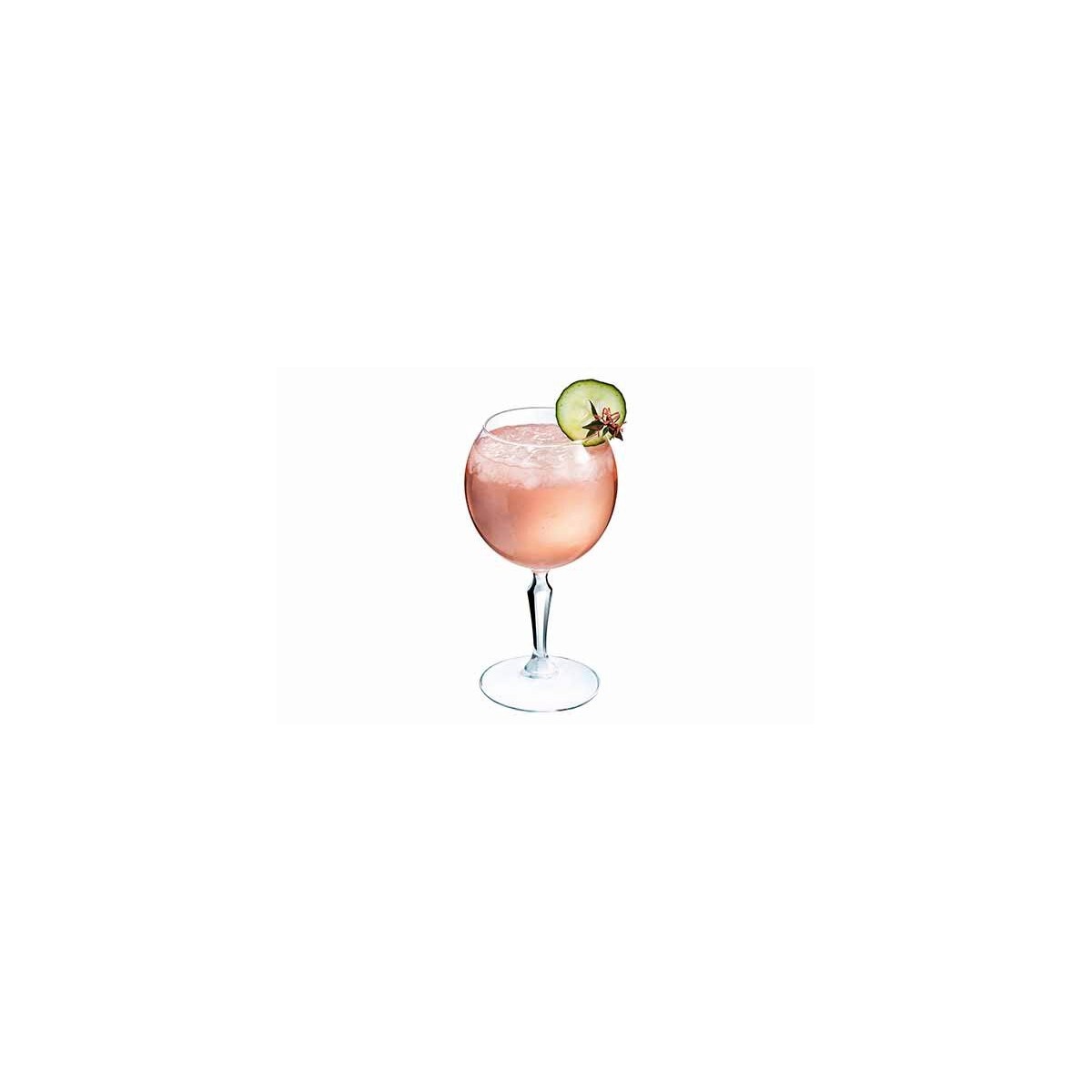 ARCOROC VERRE MONTI GIN 58CL