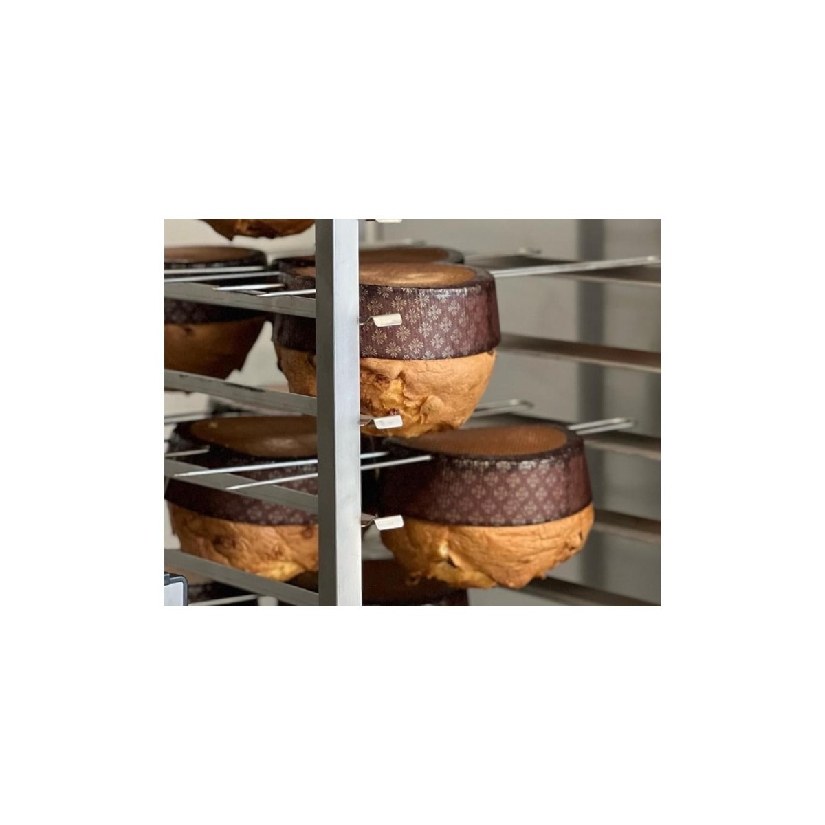 AIGUILLES A TOURNER PANETTONE 60CM 