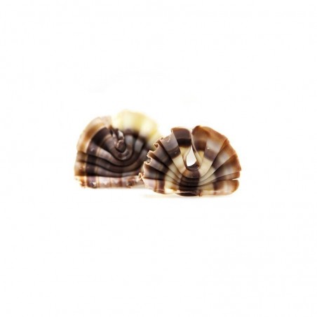 95683 FORÊT MINI MARBLED 3X2,2CM (+/- 185PCS) 352GR ON ORDER