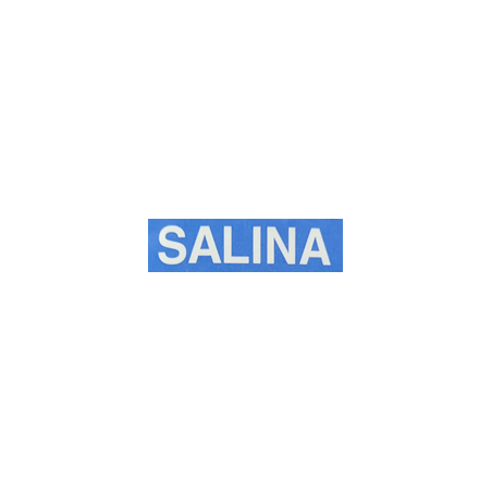 Salina