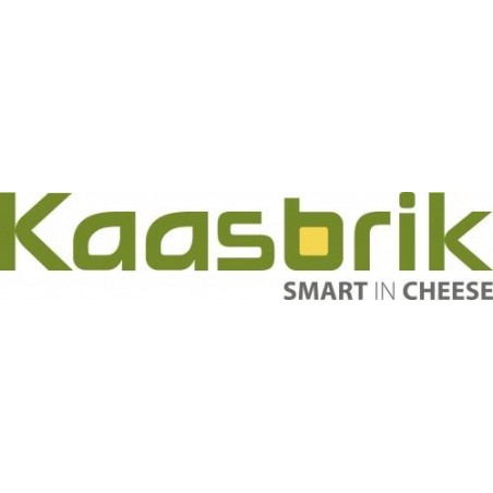 Kaasbrik