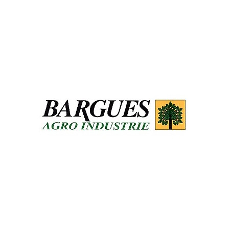 Bargues