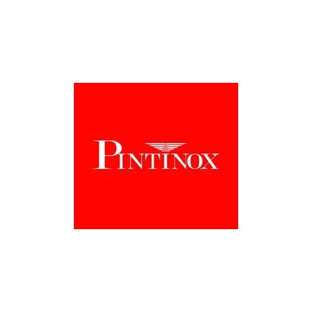 Pintinox